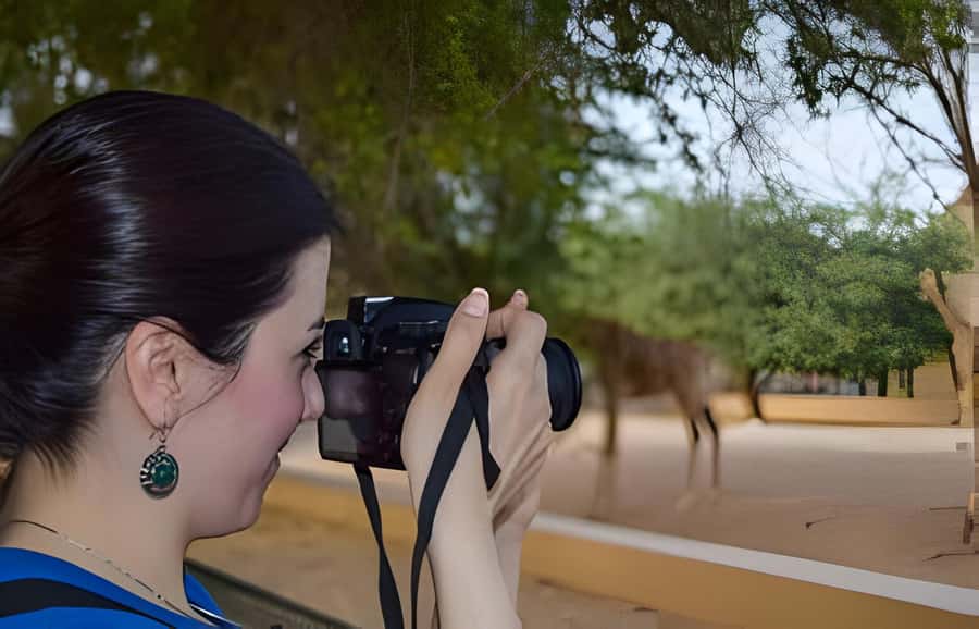 Dubai: Al Ain Garden City with Conservation Zoo - Green Mubazzarah and the hot springs at Jebel Hafeet