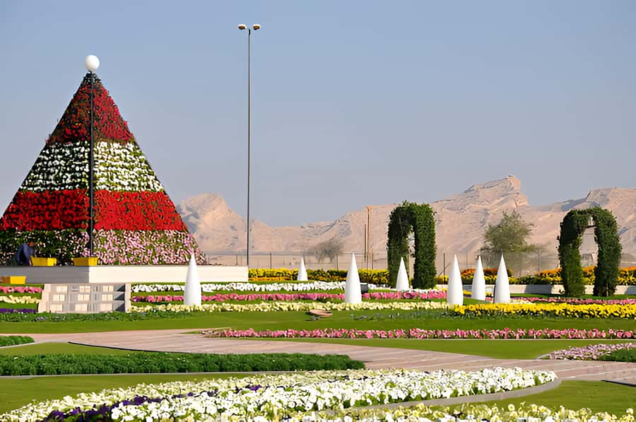Dubai: Al Ain Garden City with Conservation Zoo - The winding climb to Jebel Hafeet