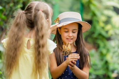 Dubai Butterfly Garden Admission Ticket