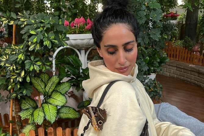 Dubai Butterfly Garden Entry Ticket - Key points at a glance