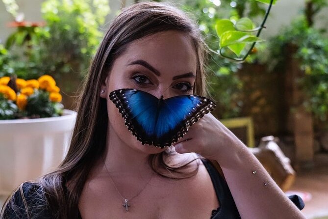 Dubai Butterfly Garden Entry Ticket - Four areas with different butterfly activity