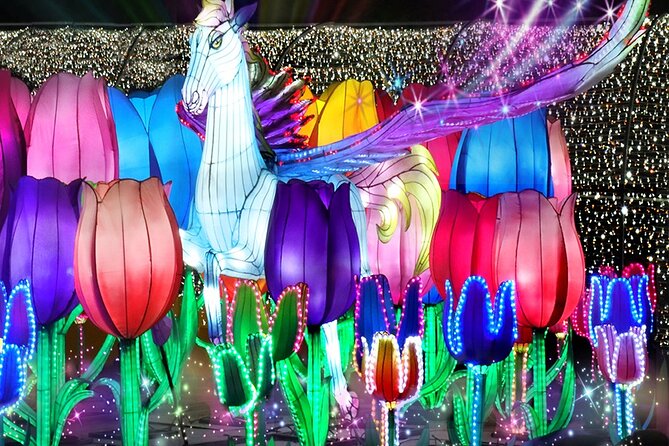 Dubai Garden Glow Tickets with Transport Options - Is the $25 ticket good value?