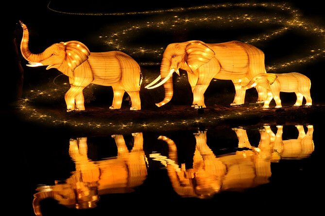 Dubai Garden Glow Tickets with Transport Options - Glow Park and its thousands of lights