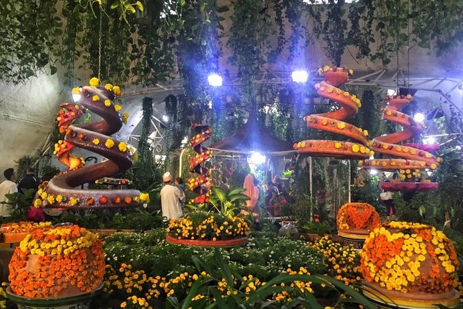 Dubai Miracle & Butterfly Garden Tour with private round trip transfers - Leaving your hotel by private transfer
