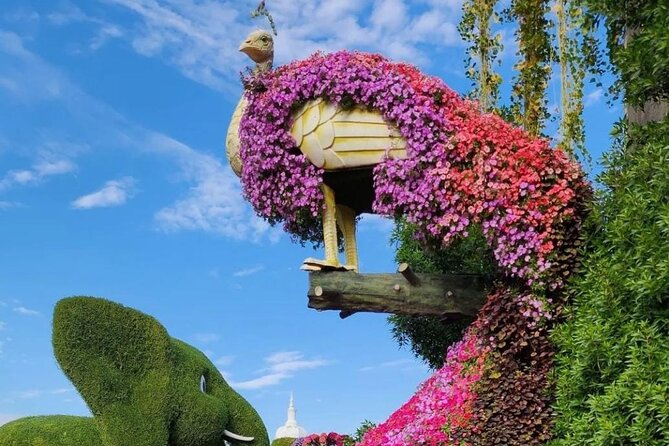Dubai: Miracle Garden: A Blossoming Wonderland Admission Ticket - The Guinness Record and What It Tells You