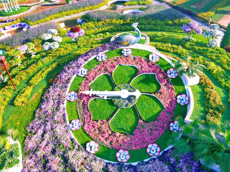 Dubai: Miracle Garden Entry Ticket with Hotel Transfer - Quick points before you book