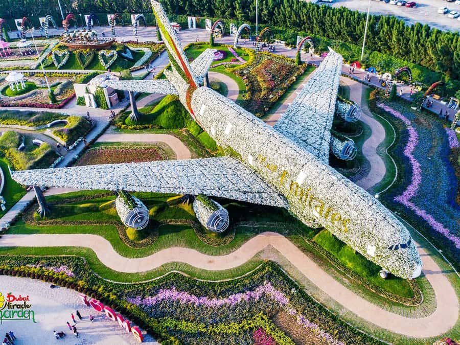 Dubai: Miracle Garden Entry Ticket with Hotel Transfer - The Airbus A380 is the garden’s big centerpiece