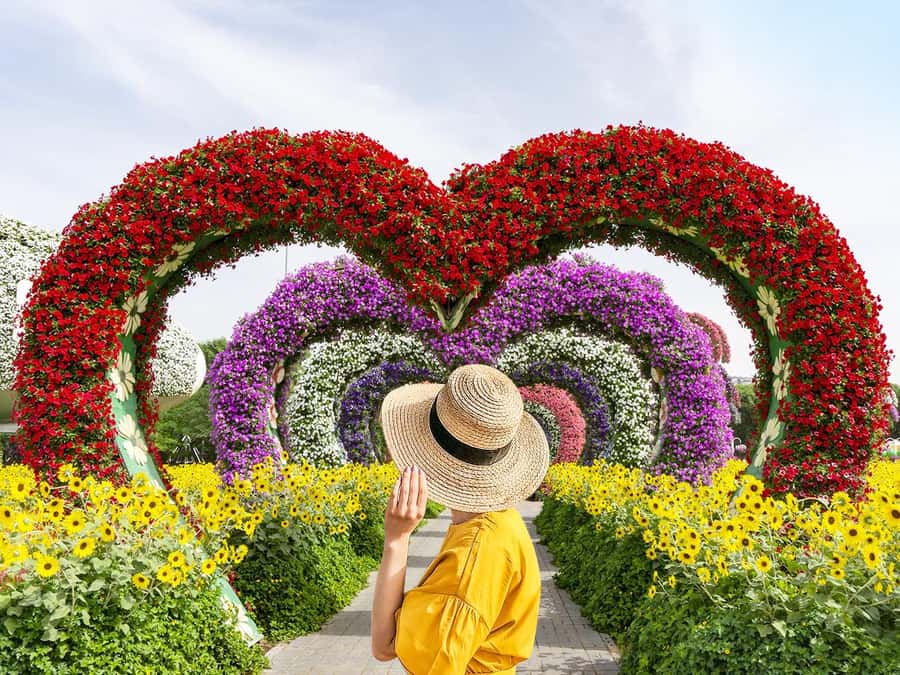 Dubai: Miracle Garden Entry Ticket with Hotel Transfer - Hotel pickup makes the visit much easier