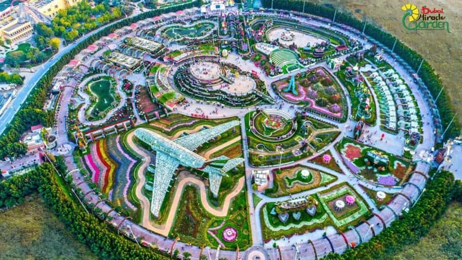 Dubai: Miracle Garden, Global Village, and Dubai Frame - A private day built around three very different Dubai sights