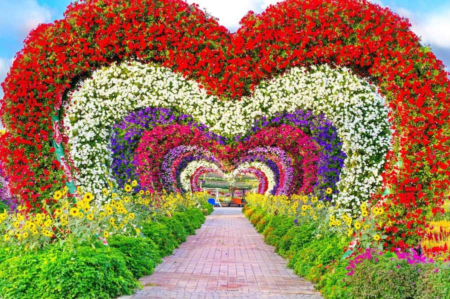 Dubai: Miracle Garden, Global Village, and Dubai Frame - Dubai Frame: worthwhile, but confirm the arrangement