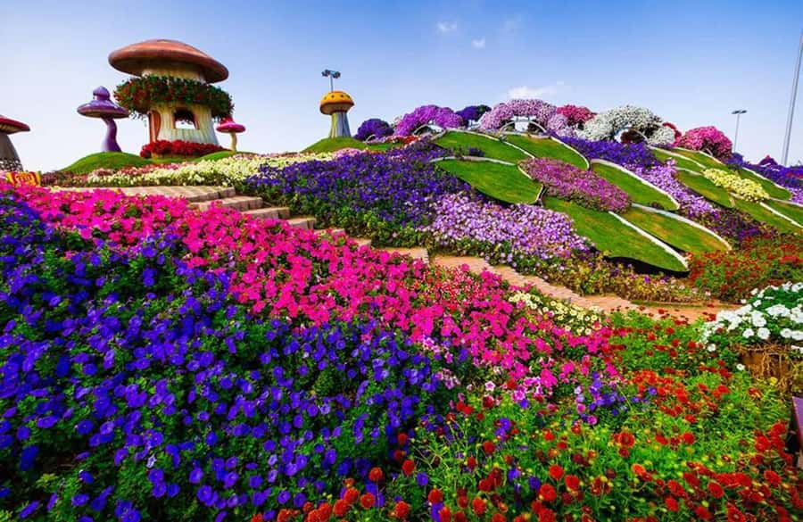Dubai: Miracle Garden, Global Village, and Dubai Frame - Should you book it?