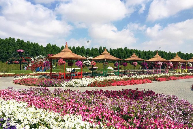 Dubai Miracle Garden Self-Guided Tour with Ticket with Transfer - Why Dubai Miracle Garden feels different