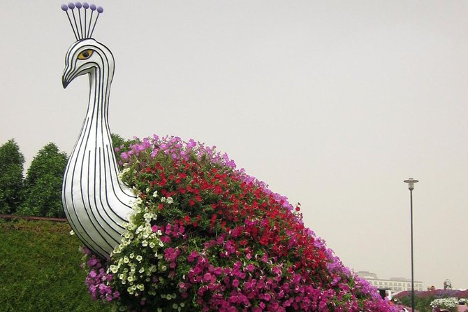 Dubai Miracle Garden Self-Guided Tour with Ticket with Transfer - Food, breaks, and the cost of a half-day outing