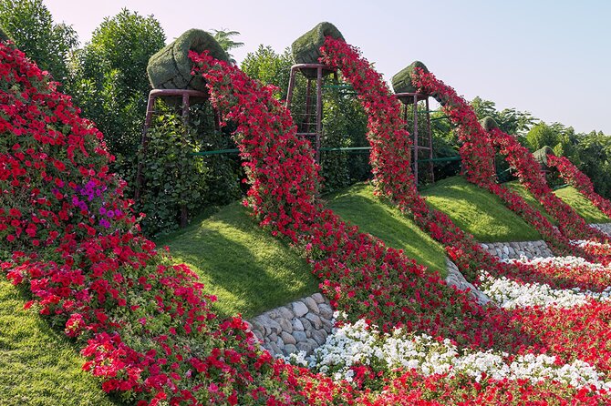 Dubai Miracle Garden Self-Guided Tour with Ticket with Transfer - Who will enjoy this self-guided visit most