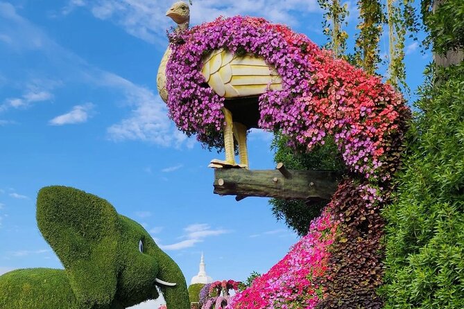 Dubai Miracle Garden Skip the Line E-Ticket and Transport Options - Shared transfer or private ride?