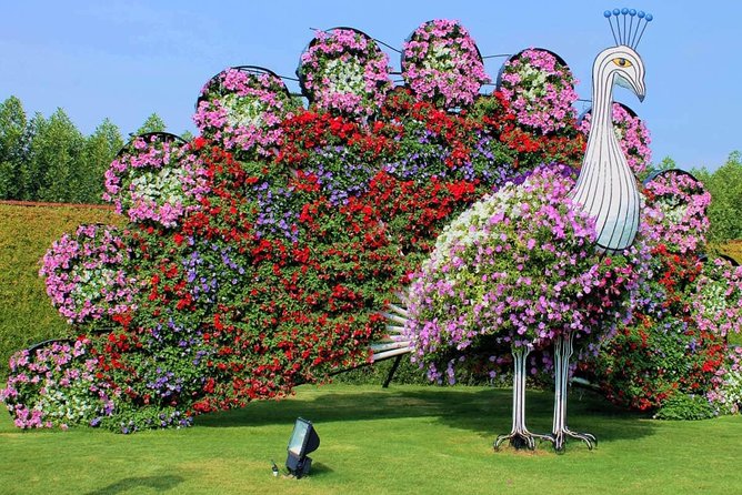 Dubai Miracle Garden with private round trip transfers - What you see during the two-hour garden visit