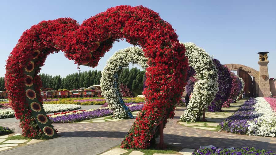 Dubai: Private Miracle Garden & Global Village Trip - The Transfer Between Stops