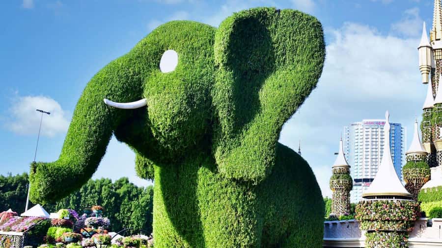 Dubai: Private Miracle Garden & Global Village Trip - Global Village: Shopping, Food, Shows, and Rides