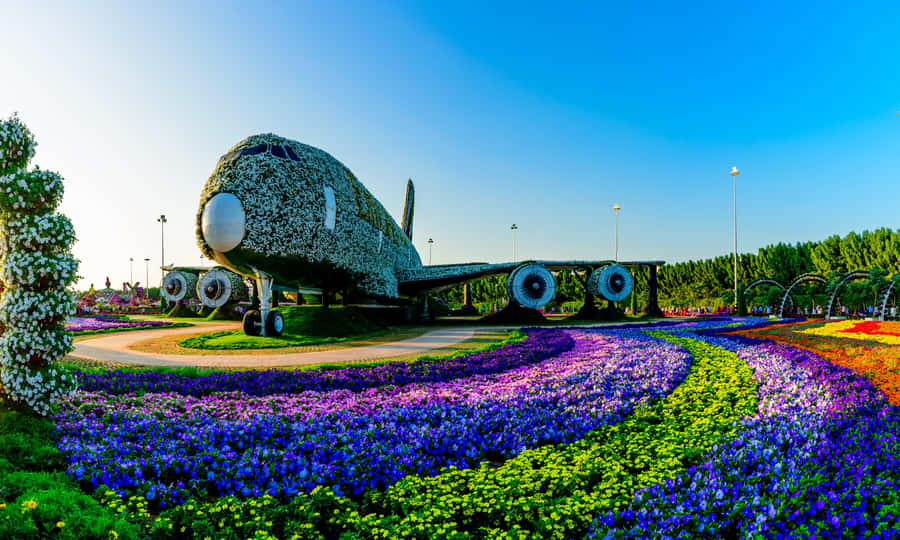 Dubai: Private Miracle Garden & Global Village Trip - Who Will Enjoy This Trip Most?
