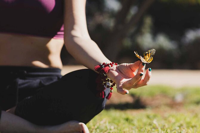 Dubai: Skip-The-Line Ticket to Butterfly Garden - How Long Should You Plan to Stay?