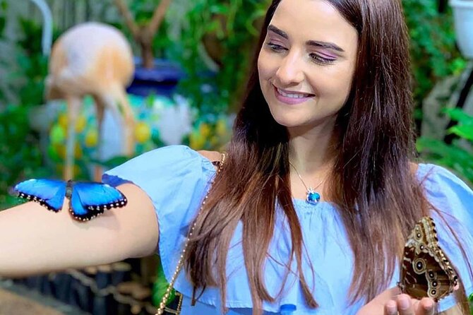 Dubai: Skip-The-Line Ticket to Butterfly Garden - Price and Skip-the-Line Value at $16.75
