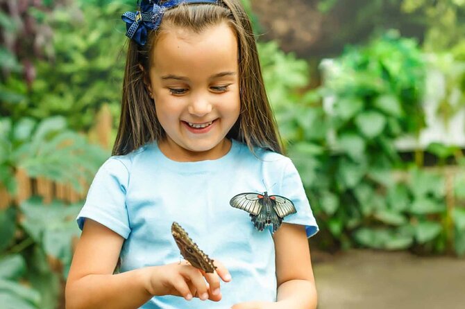 Dubai: Skip-The-Line Ticket to Butterfly Garden - Timing, Transport, and Group Size