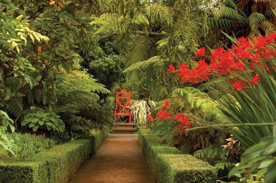 Dunedin: Larnach Castle & Gardens Admission Ticket - Reaching Larnach Castle From Dunedin