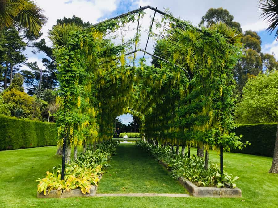 Dunedin: Peninsula with Lanarch Castle gardens & Olveston - Key points at a glance