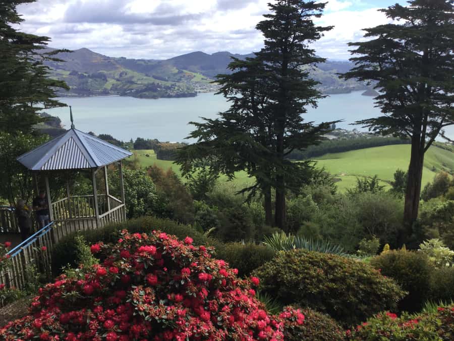 Dunedin: Peninsula with Lanarch Castle gardens & Olveston - Cemetery stories and Dunedin landmarks