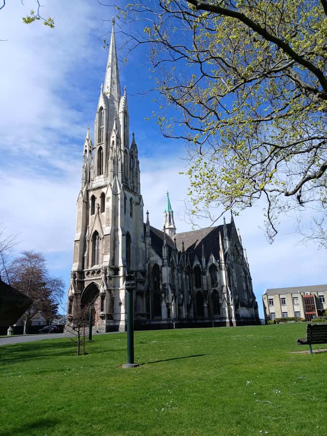 Dunedin: Peninsula with Lanarch Castle gardens & Olveston - How the schedule works for cruise passengers