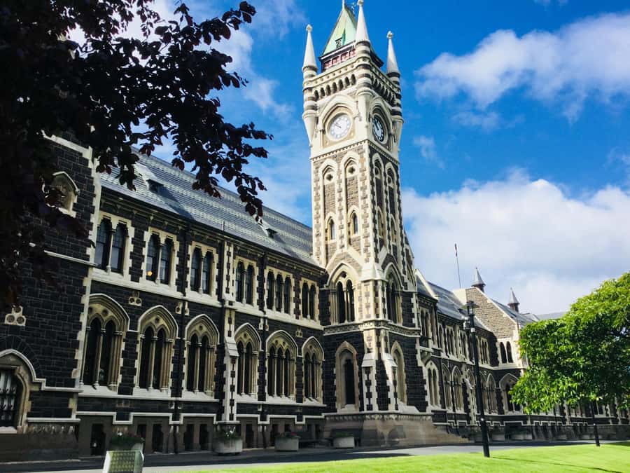 Dunedin: Peninsula with Lanarch Castle gardens & Olveston - Who will get the most from this tour