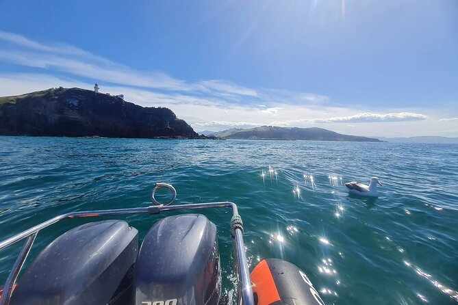 Dunedin Shore Excursion - Sightseeing, Larnach Castle, Chinese Garden & Museum - Toitu Otago Settlers Museum in one hour