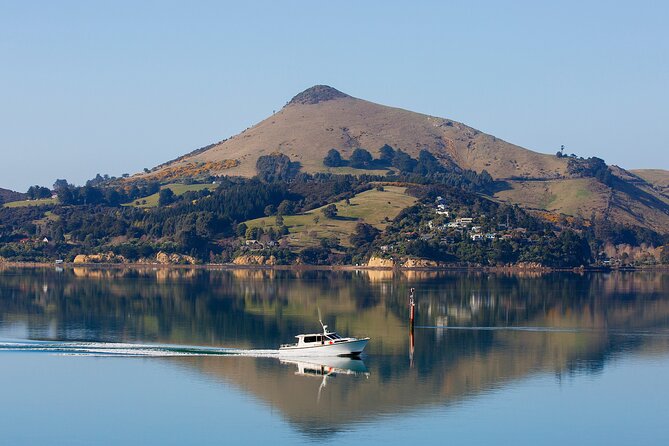 Dunedin Shore Excursion - Sightseeing, Larnach Castle, Chinese Garden & Museum - What the $124.11 price really includes