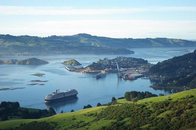 Dunedin Shore Excursion - Sightseeing, Larnach Castle, Chinese Garden & Museum - Group size, guiding, and the main warning