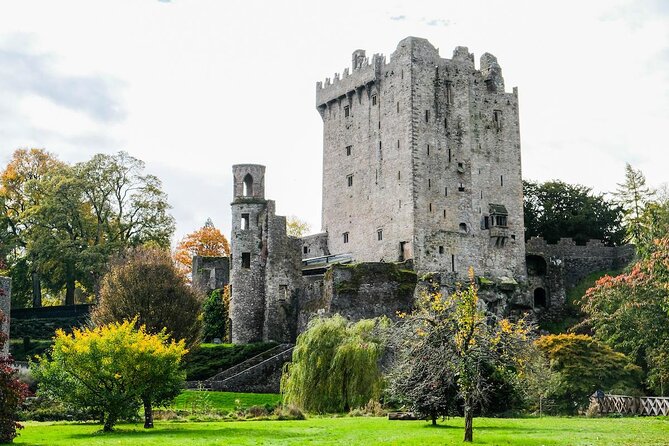Easy Access Blarney Stone and Castle Gardens Tour - Key points to know before you book