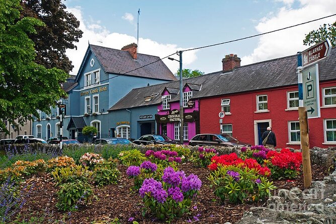 Easy Access Blarney Stone and Castle Gardens Tour - What the guides add to the visit