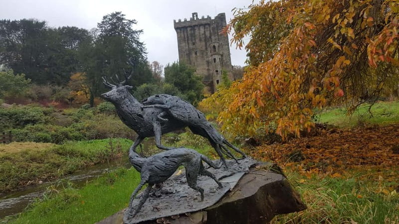 Easy Access - The Blarney Stone & Castle Gardens Tour - Finishing at Blarney Woollen Mills