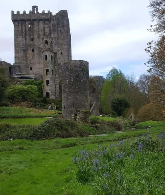 Easy Access - The Blarney Stone & Castle Gardens Tour - Walking, weather, and accessibility