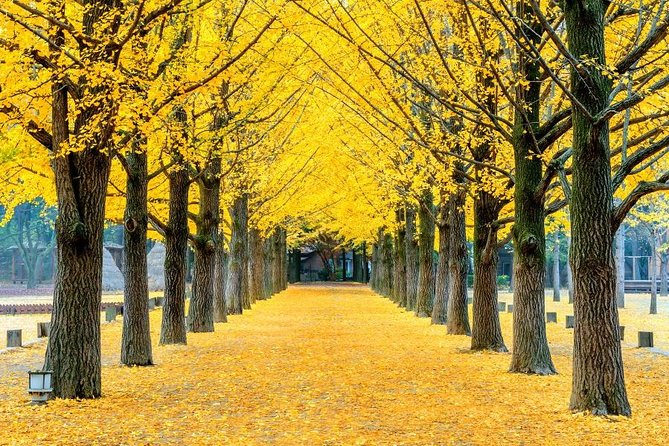 Easy private tour to Nami Island, Garden of Morning Calm - Why this Seoul day trip works