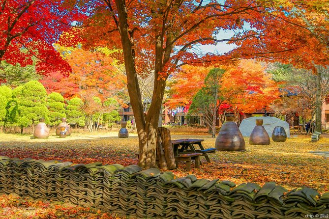 Easy private tour to Nami Island, Garden of Morning Calm - The best time to go
