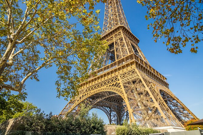 Eiffel Tower with 2nd Floor Access & Trocadero Gardens Tour - What the $77.21 price buys you