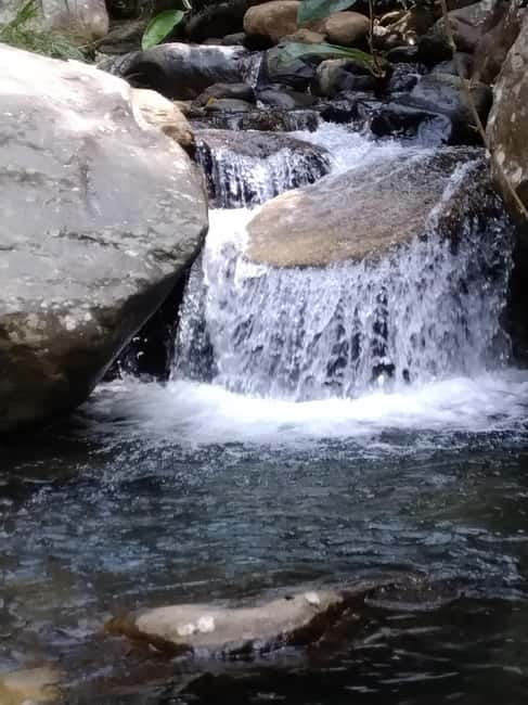 Ella: Cinnamon, Spice Garden & Waterfall tour - The spice garden, massage, and spicy tea