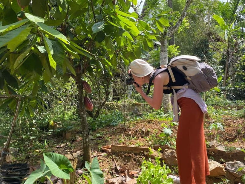Ella: Nine Arch Spice Garden Tour with Traditional Lunch - Key points to know