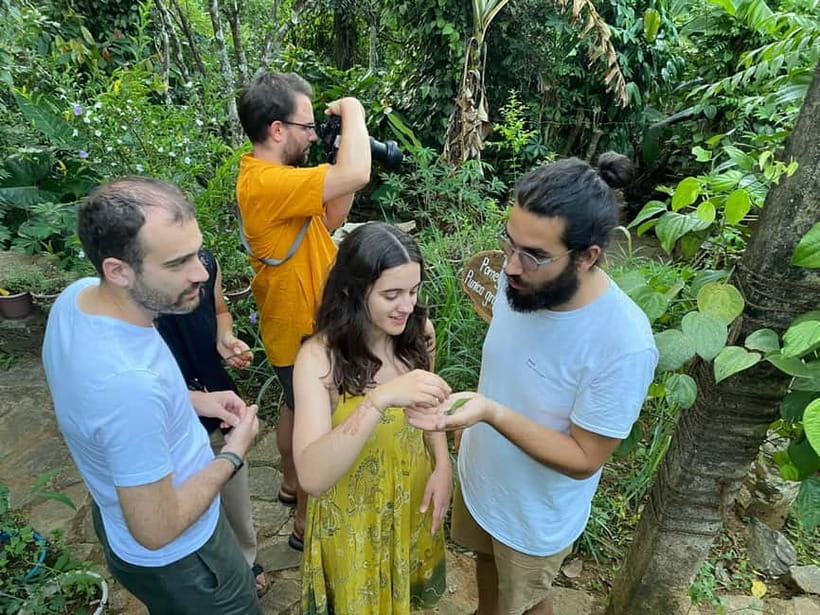 Ella: Nine Arch Spice Garden Tour with Traditional Lunch - What the small group changes