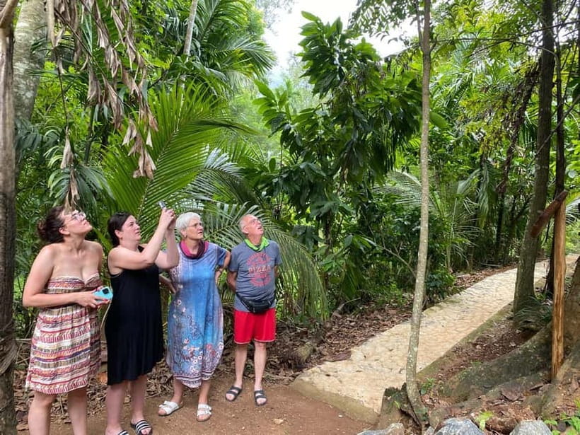 Ella: Nine Arch Spice Garden Tour with Traditional Lunch - Is $20 good value for 2.5 hours?