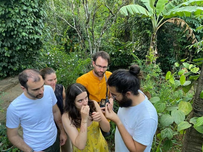 Ella: Nine Arch Spice Garden Tour with Traditional Lunch - Walking among garcinia, vanilla, and cocoa