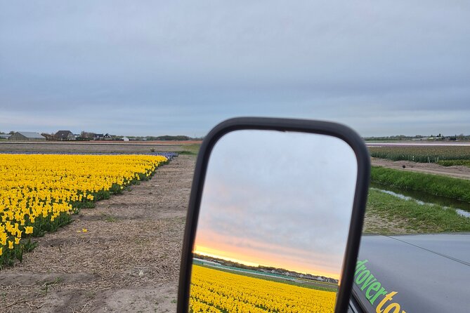 Enjoy the Tulips in a Landrover with a local guide - Why this Landrover tour feels different