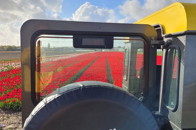 Enjoy the Tulips in a Landrover with a local guide - What the guide adds to the ride