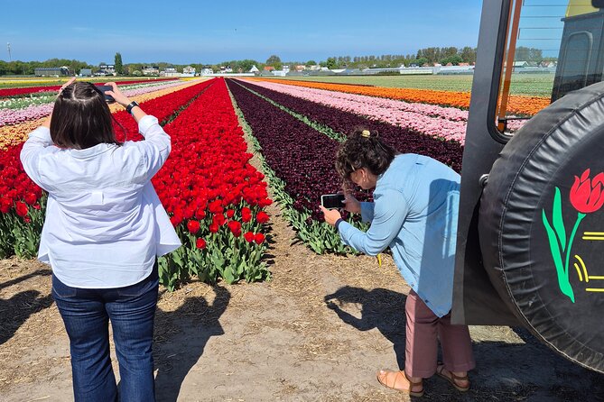 Enjoy the Tulips in a Landrover with a local guide - Starting in Lisse, at Sint Agathakerk