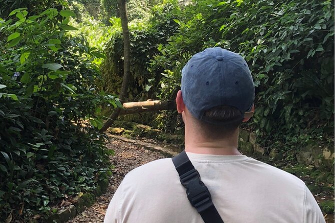 Entebbe Walking Tour (3 Hours) with Zoo and Botanical Gardens Options - Why Entebbe makes a good walking-tour city